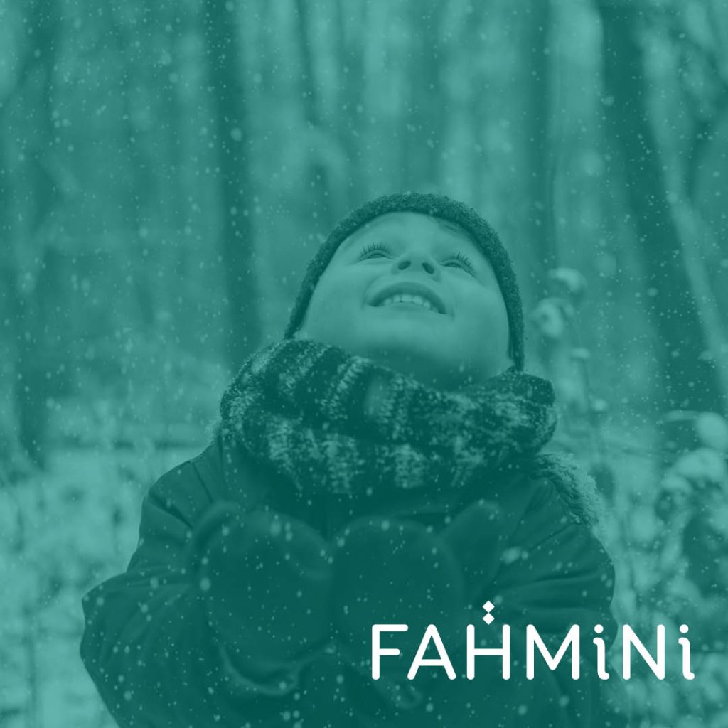 Tegel website - FahMiNi